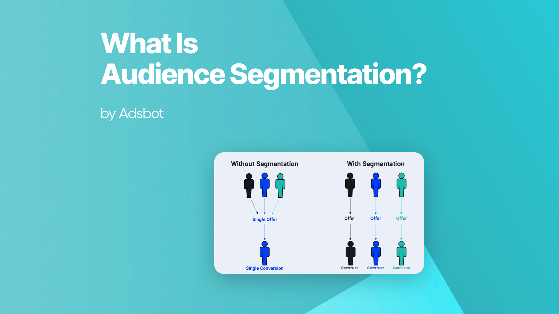 What is audience segmentation