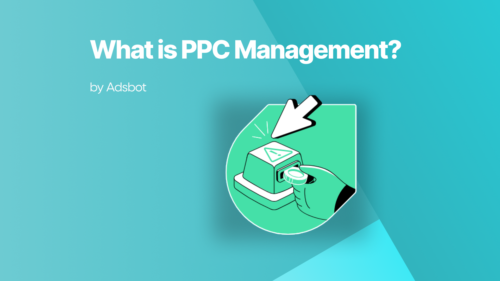 What is PPC Management?