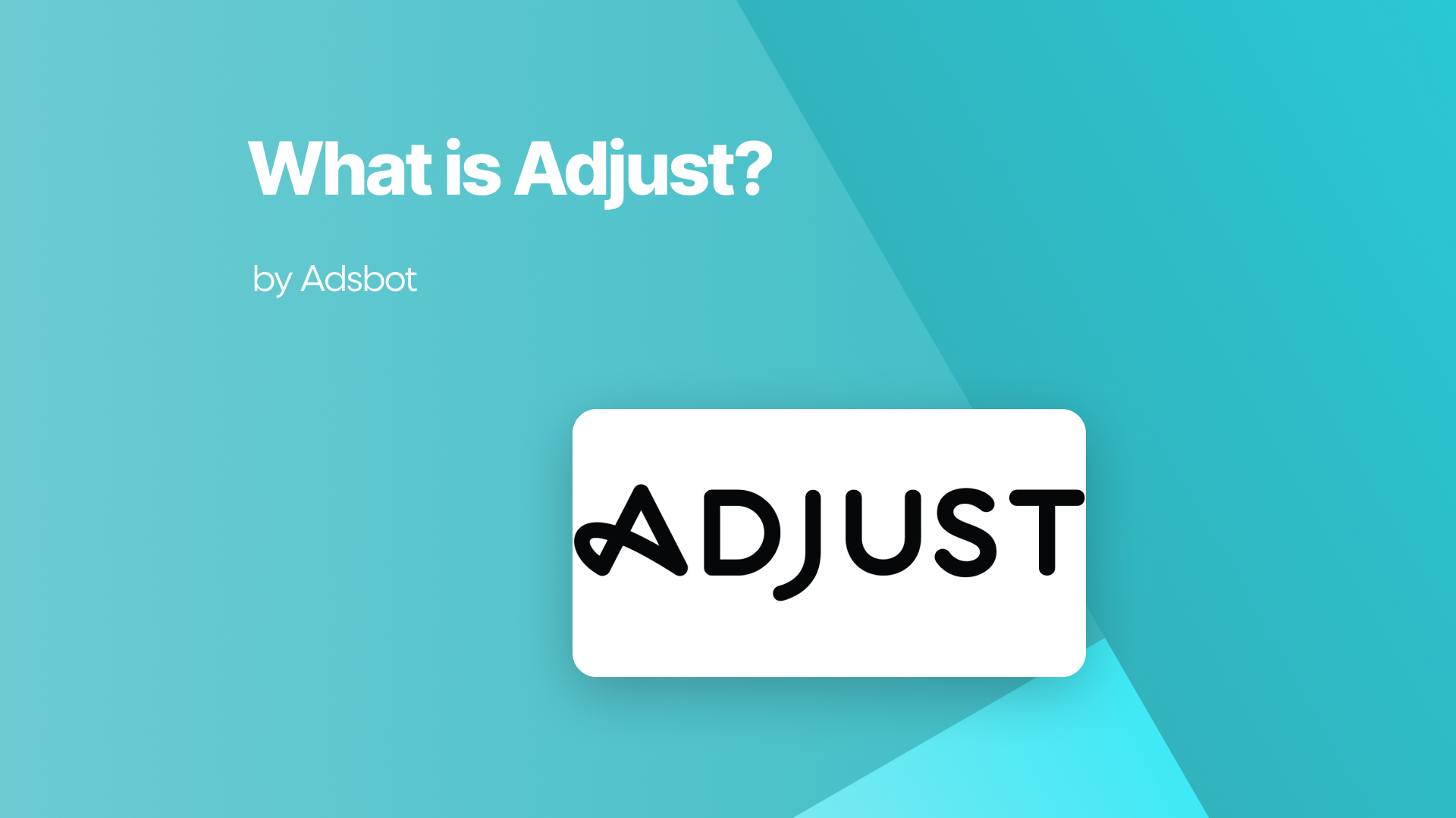 What is Adjust?