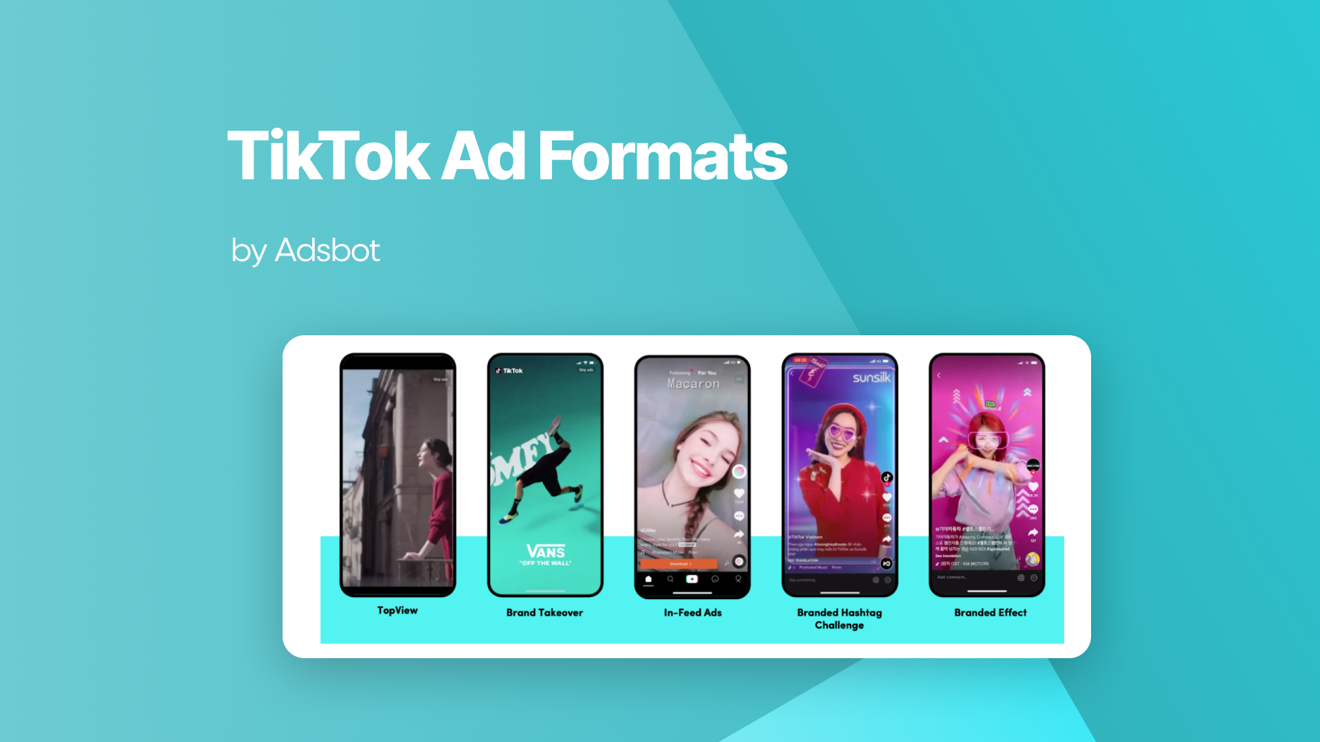 TikTok Ad Formats