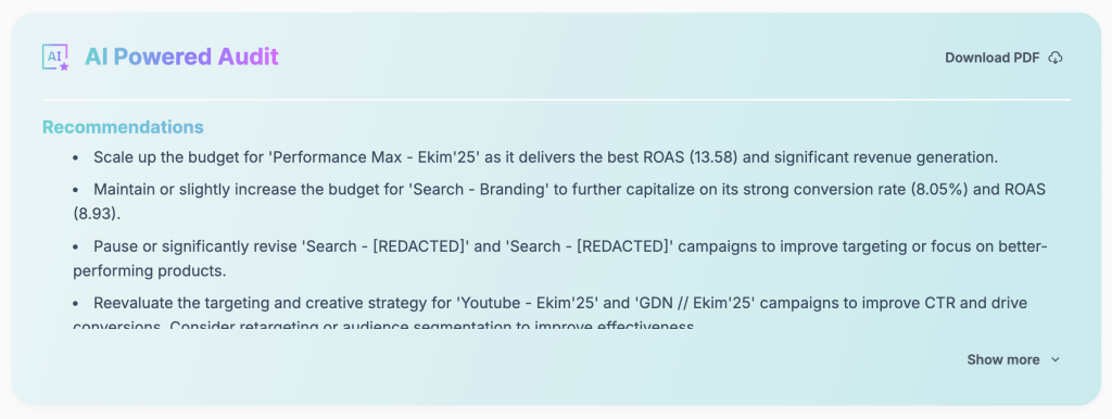 Adsbot's AI Audit Report